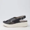 D Laudara B Black Leather Sandals