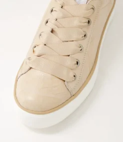 Finni Nude Shine White Multi Sneakers