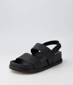 Gabisse Black Leather Sandals
