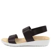 Usaid W Black Elastic